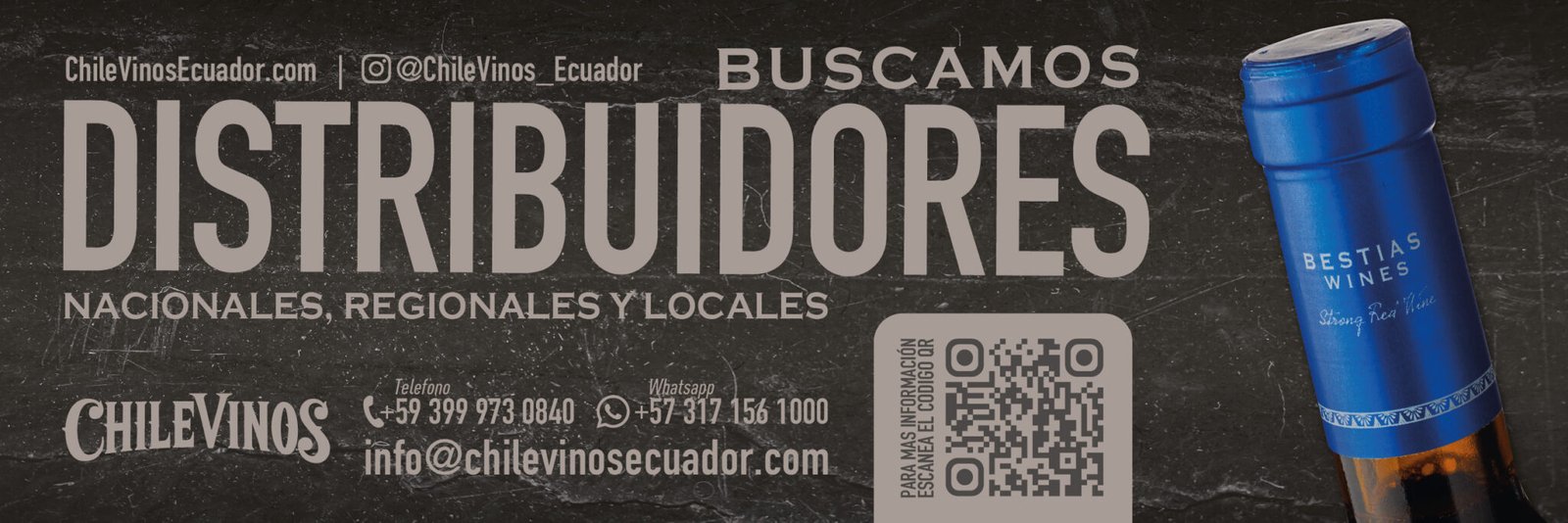 CHILEVINOS ECUDOR BANNER WEB pendones 1200X400_2