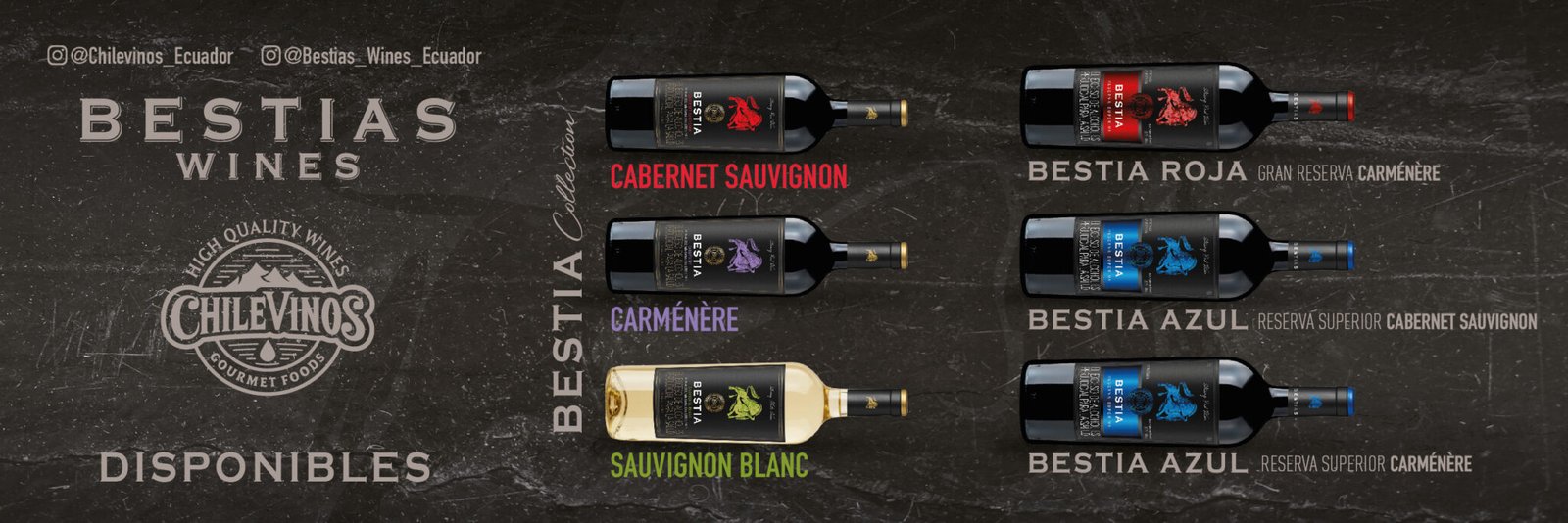 CHILEVINOS ECUDOR BANNER WEB pendones 1200X400_5